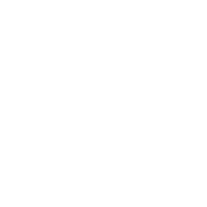 Agent Connect Logo